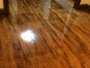 High-gloss polished timber floorboards with a warm brown finish and reflective surface.