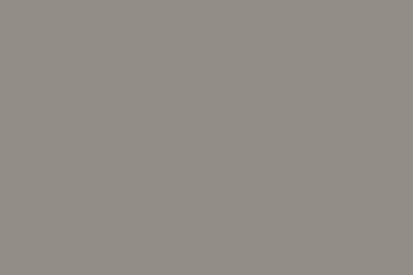 Koala Grey Epoxy Flooring Finish A solid swatch of smooth, matte Koala Grey epoxy flooring color.