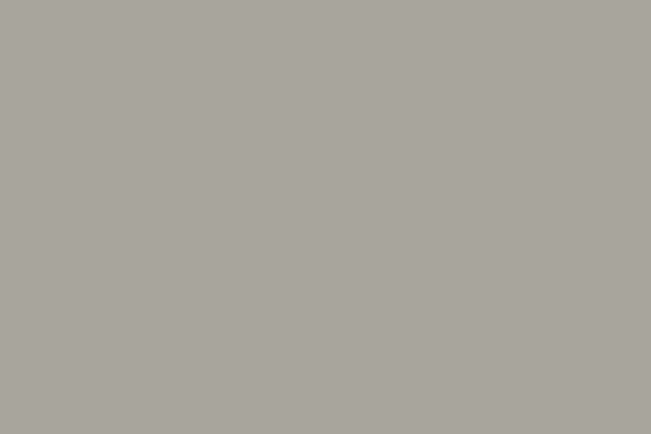 Light Grey Epoxy Flooring Finish A solid light grey surface texture representing a professionally applied epoxy flooring finish.